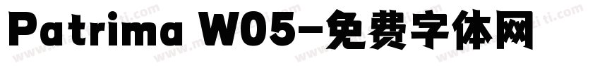 Patrima W05字体转换